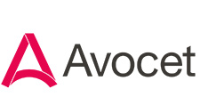 Avocet
